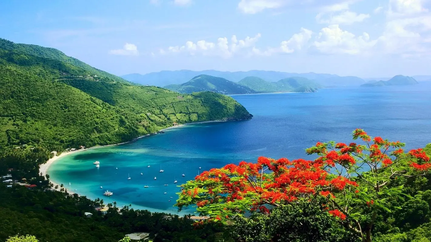 自动化无人化高质量